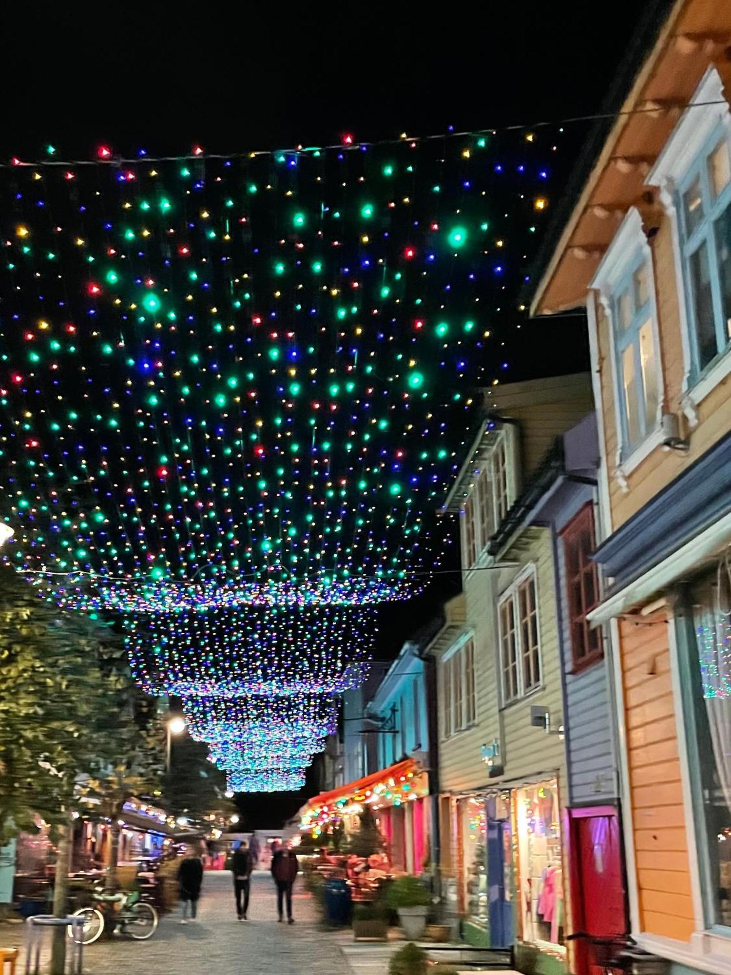 Romslig Og Velutstyrt Leilighet I Gamle *