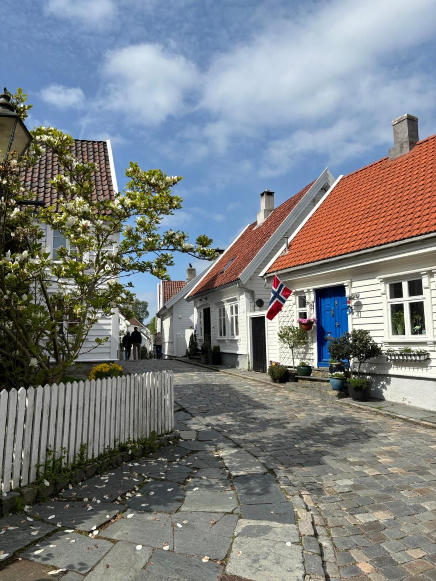 Romslig Og Velutstyrt Leilighet I Gamle Leilighet